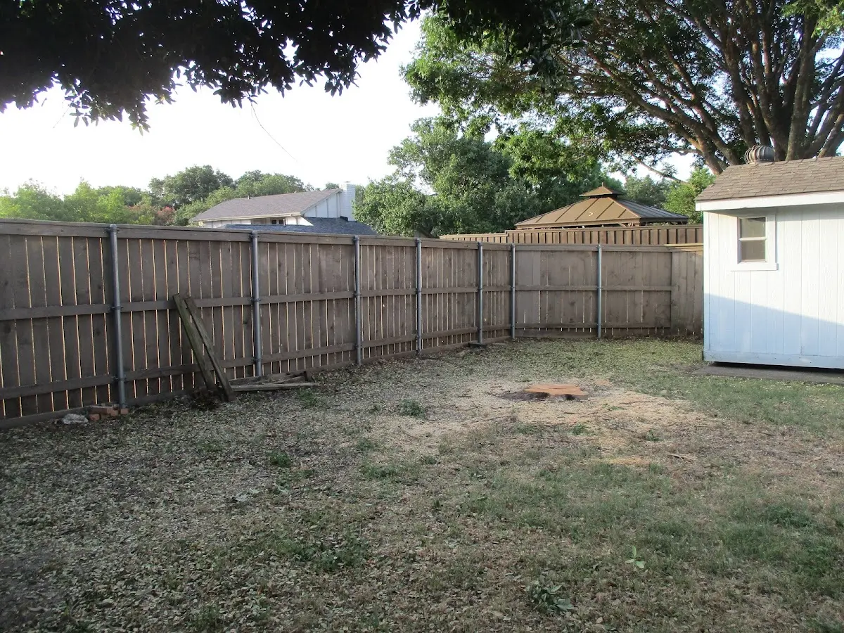 Cleared yard after professional tree removal in Paincourtville