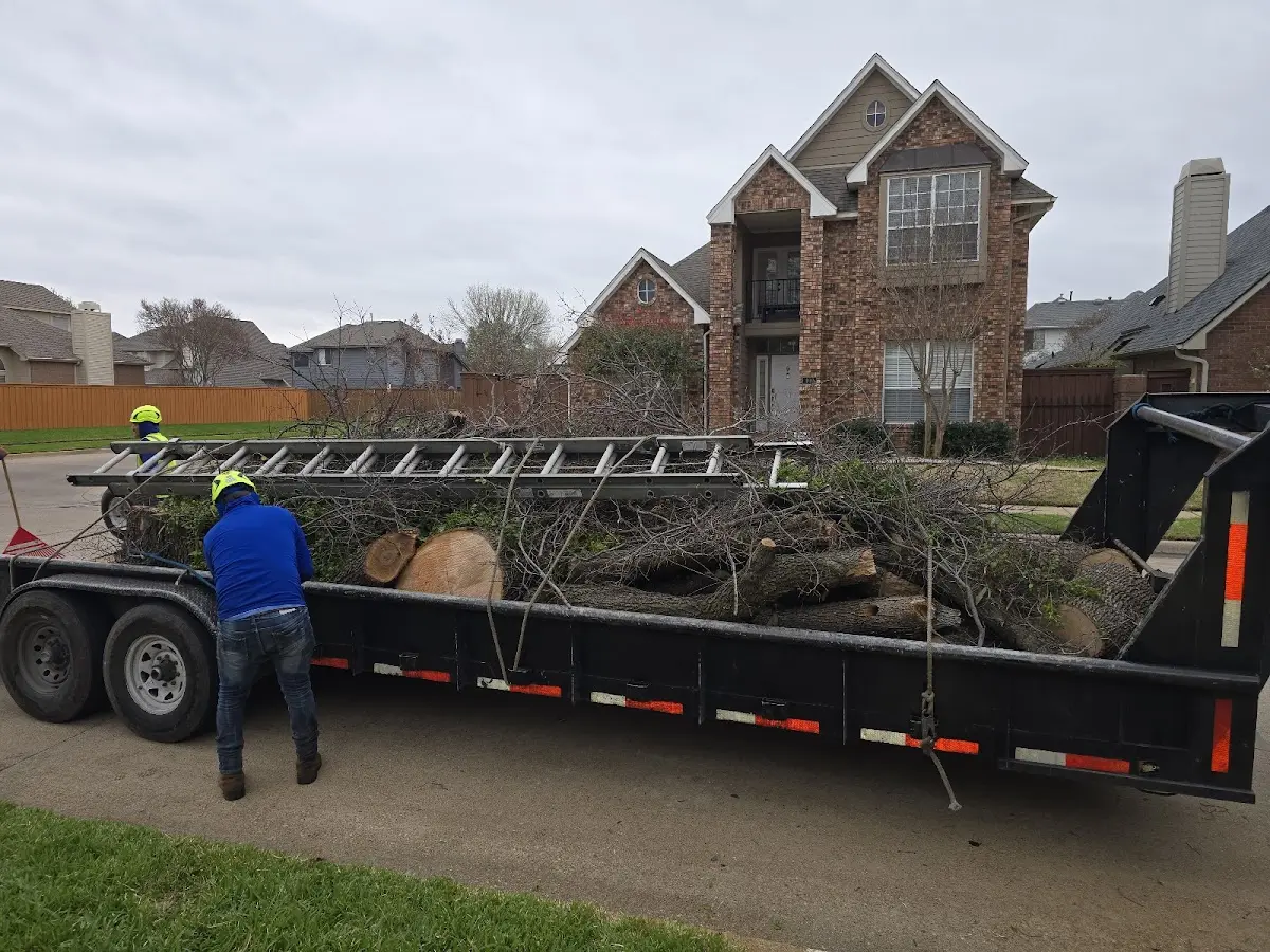 Expert Tree Fertilization with proper safety equipment in Paincourtville